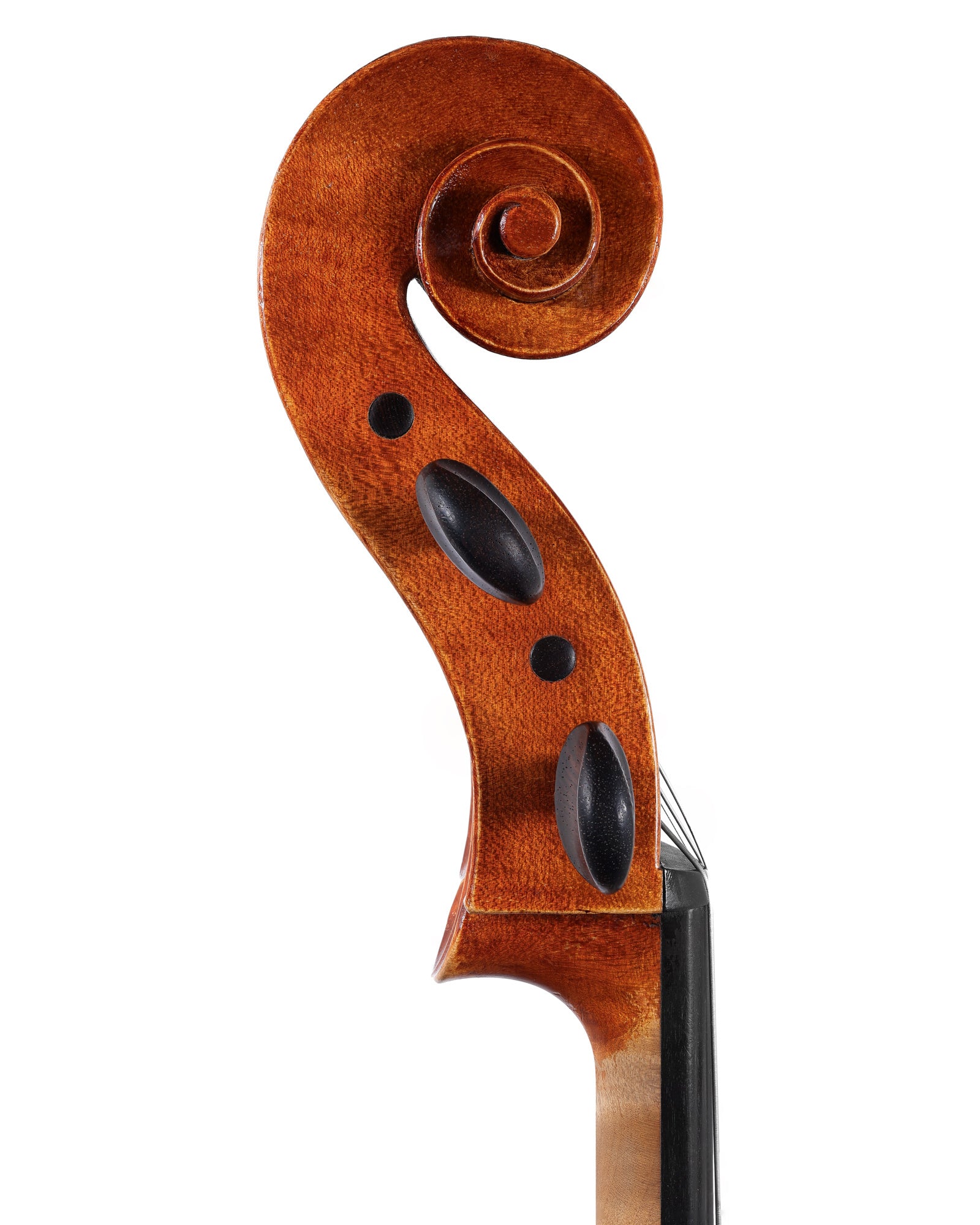 Otto Karl Schenk von Bern cello, zur Nydegg 1983 | Metzler Violins ...