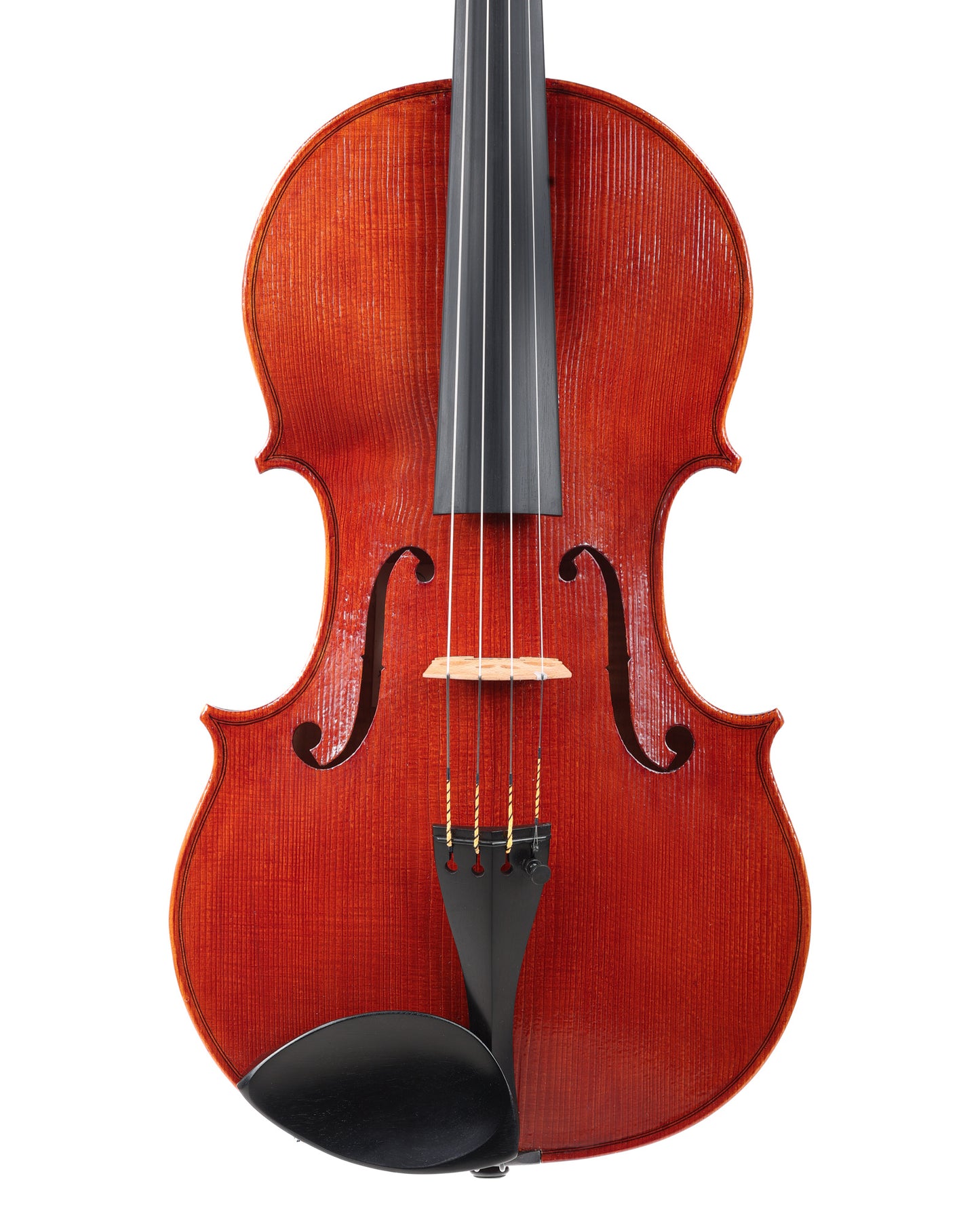 Carrie Scoggins 16 5/16" viola, Salt Lake City, UT, 2023