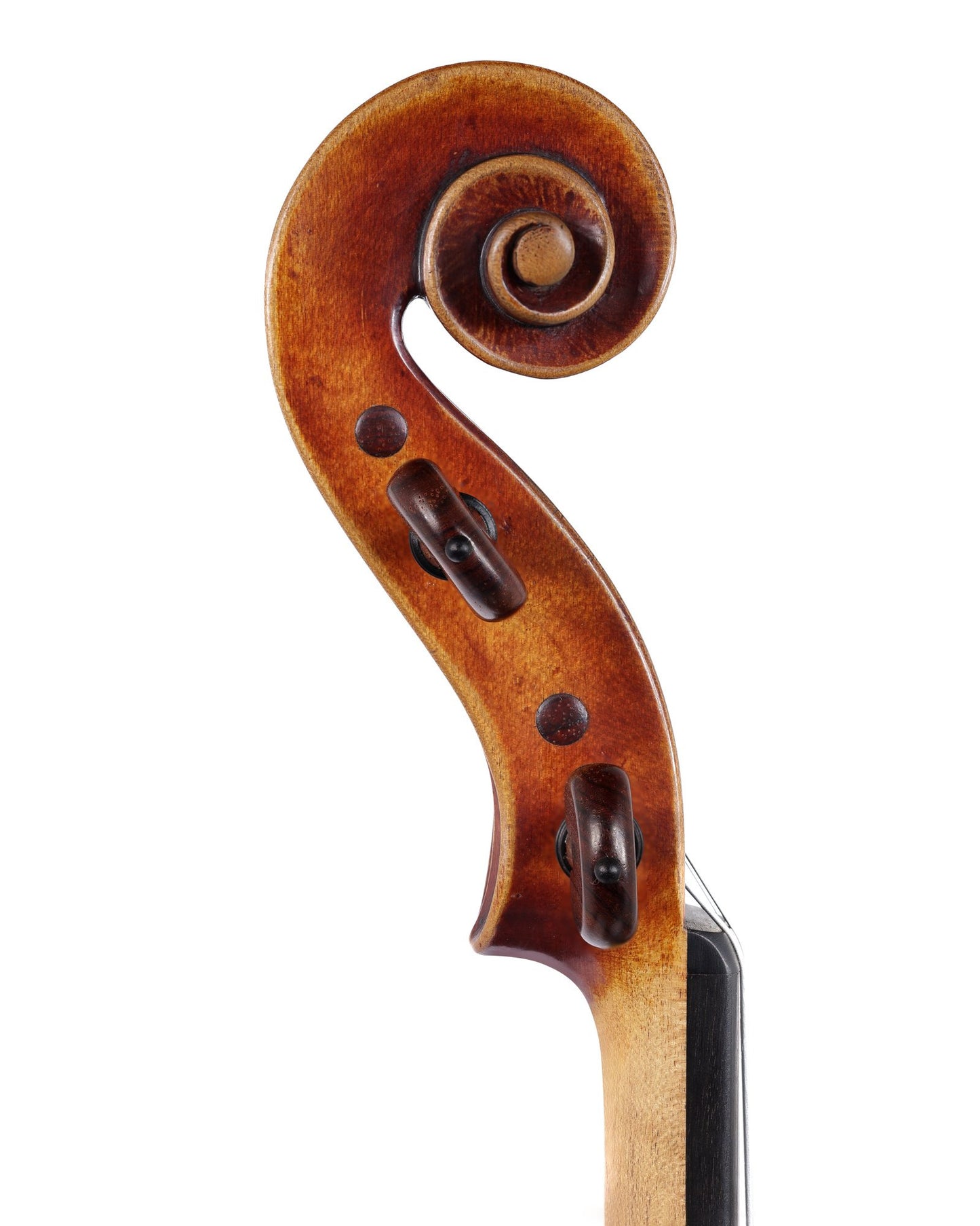 Christopher White 16 1/4" viola, Gofriller model, 2022, Boston, USA