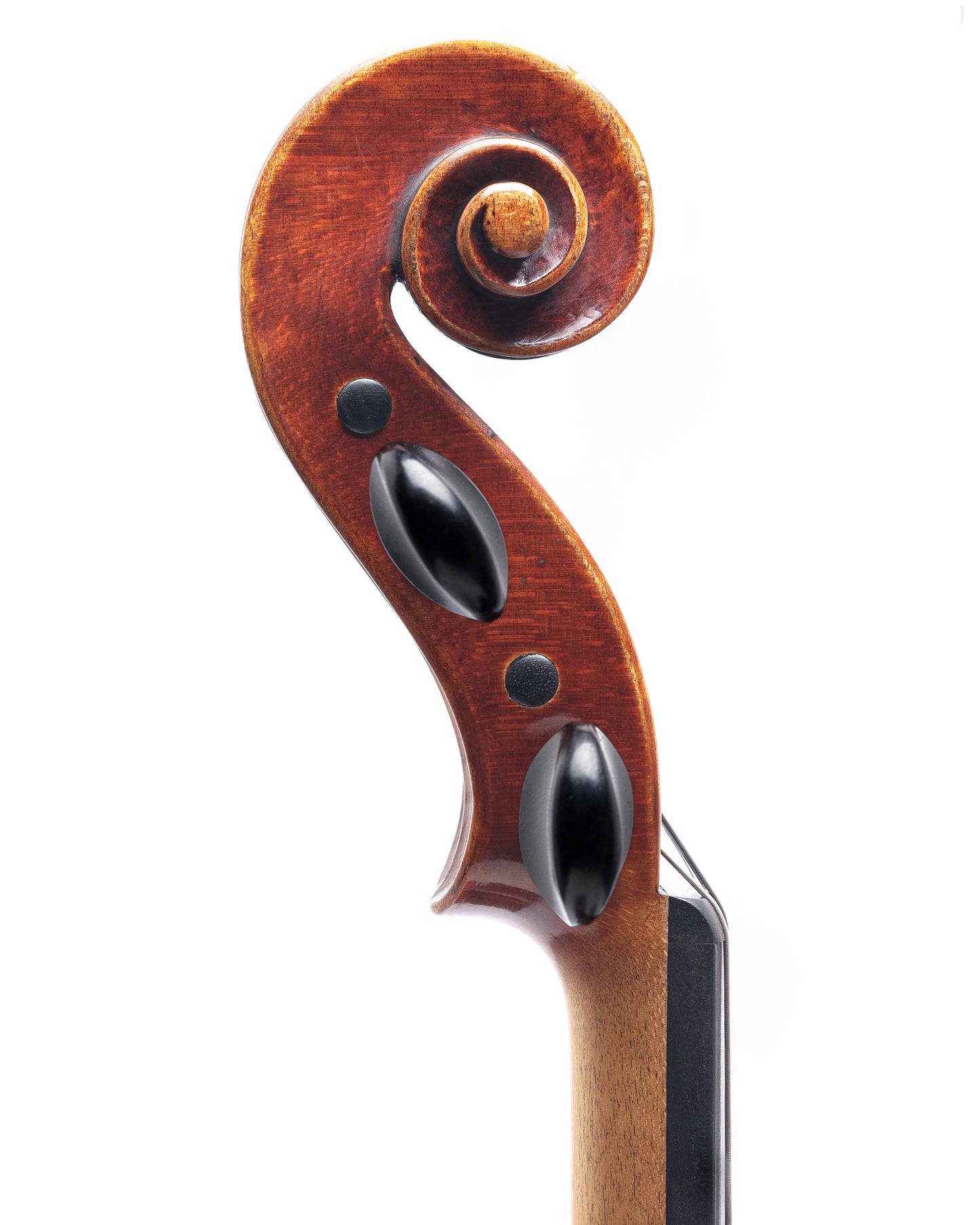 Christopher White violin, 2002, Boston, Massachusetts | Metzler Violins