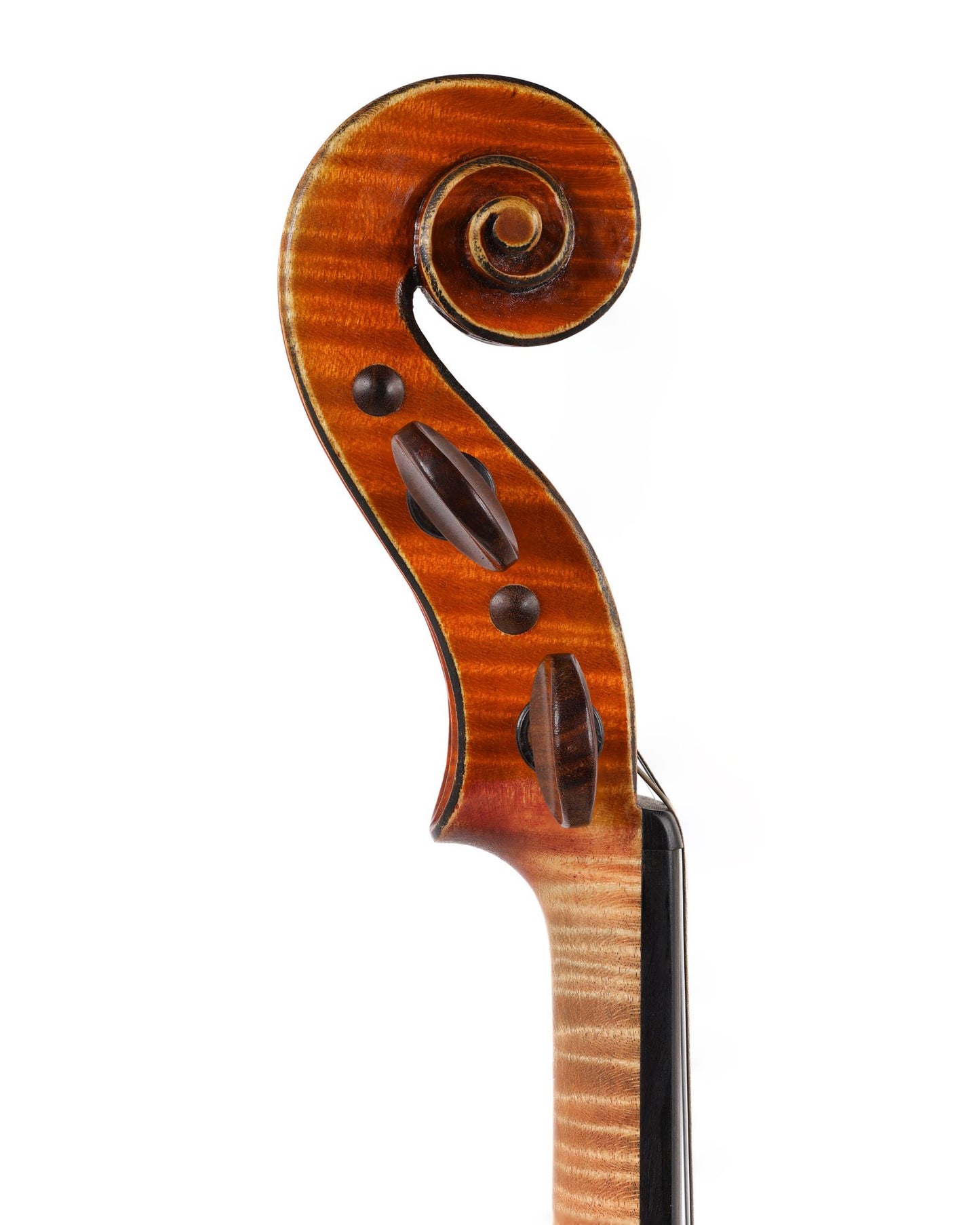 John Harrison 4/4 violin, Redding CA 2012 | Metzler Violins