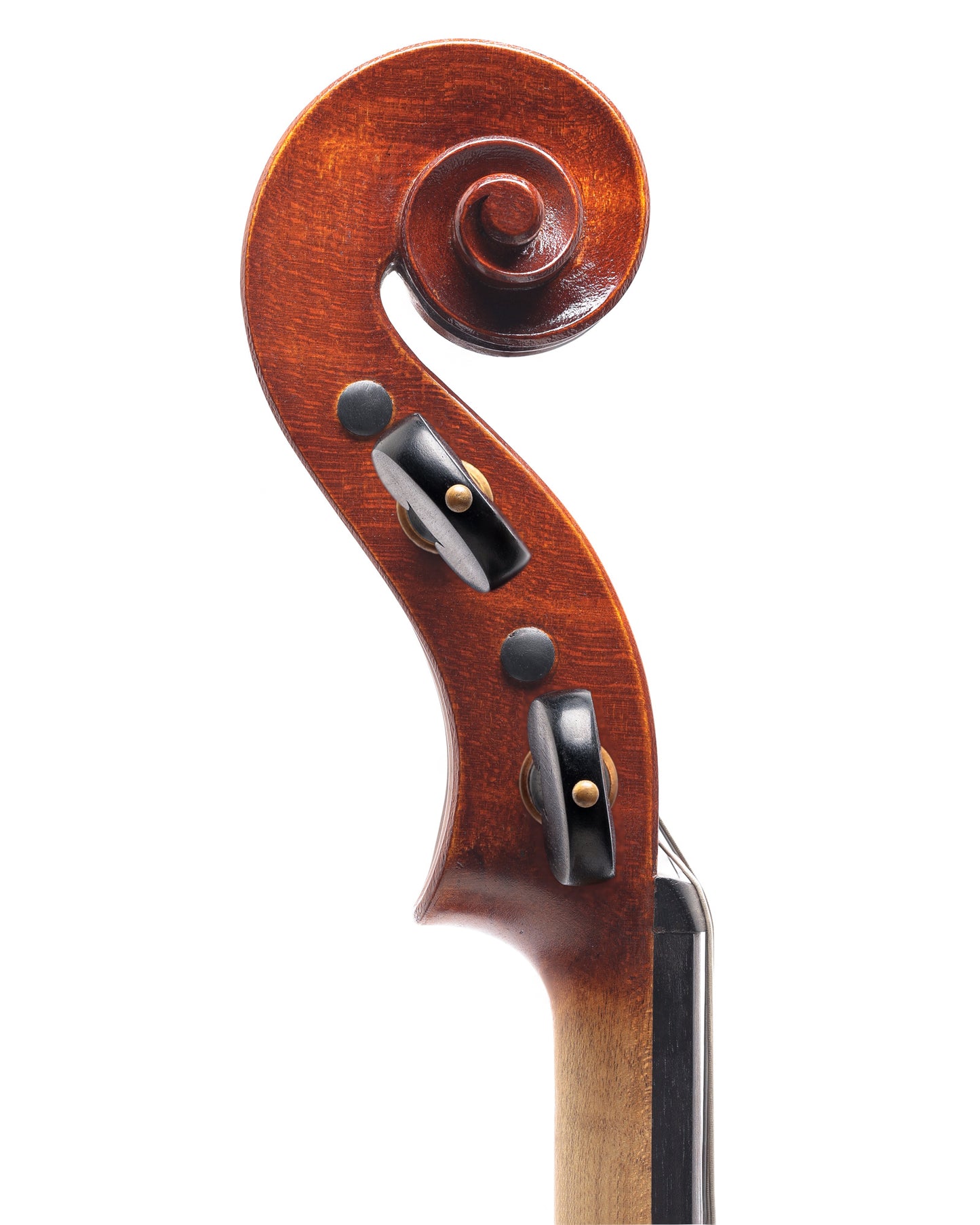 Matteo Mazzotti violin, A. Poggi model, 2021, Cremona, ITALY, with maker's certificate of authenticity