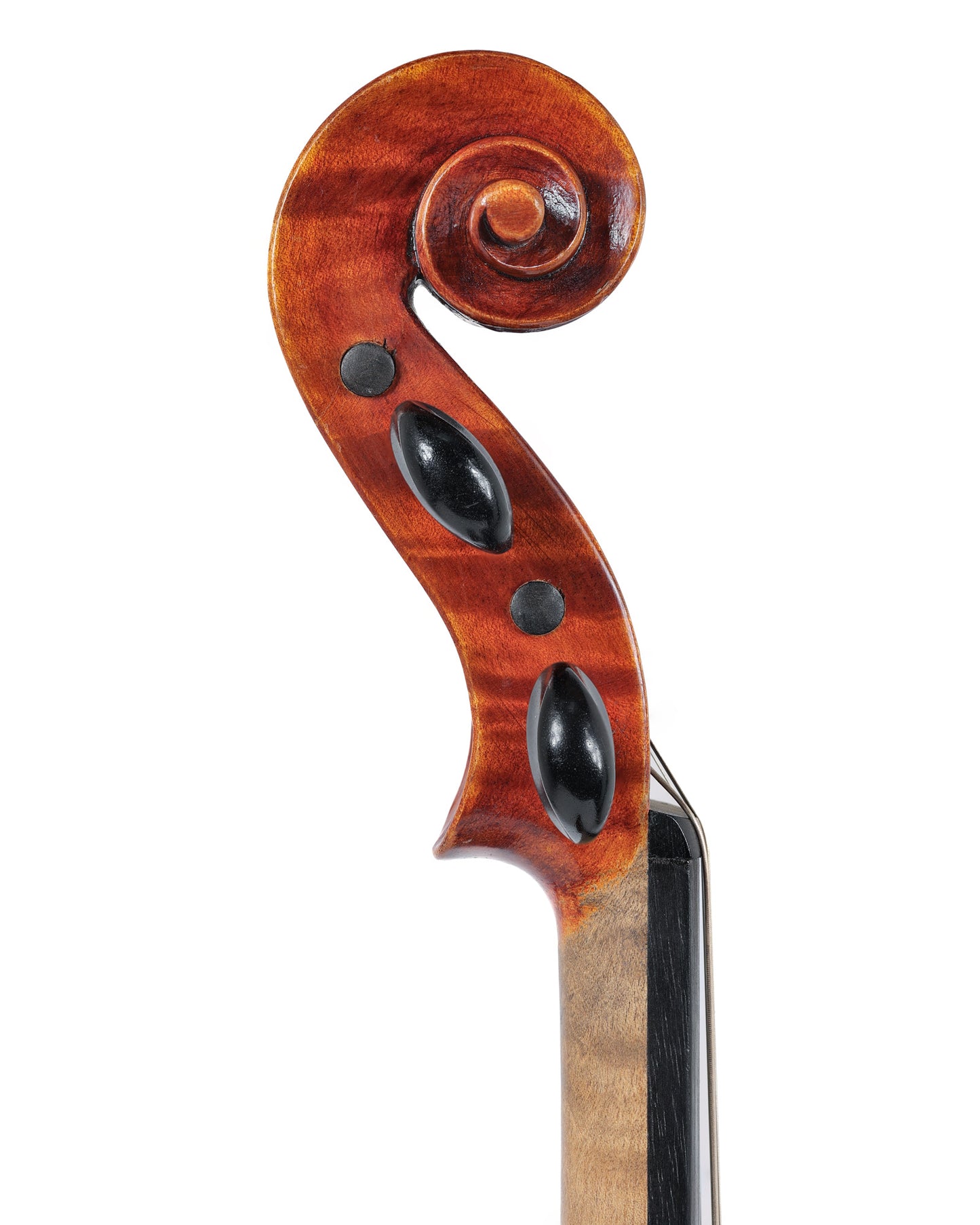 "Wood Bridge" highly flamed 4/4 violin, mod. 300