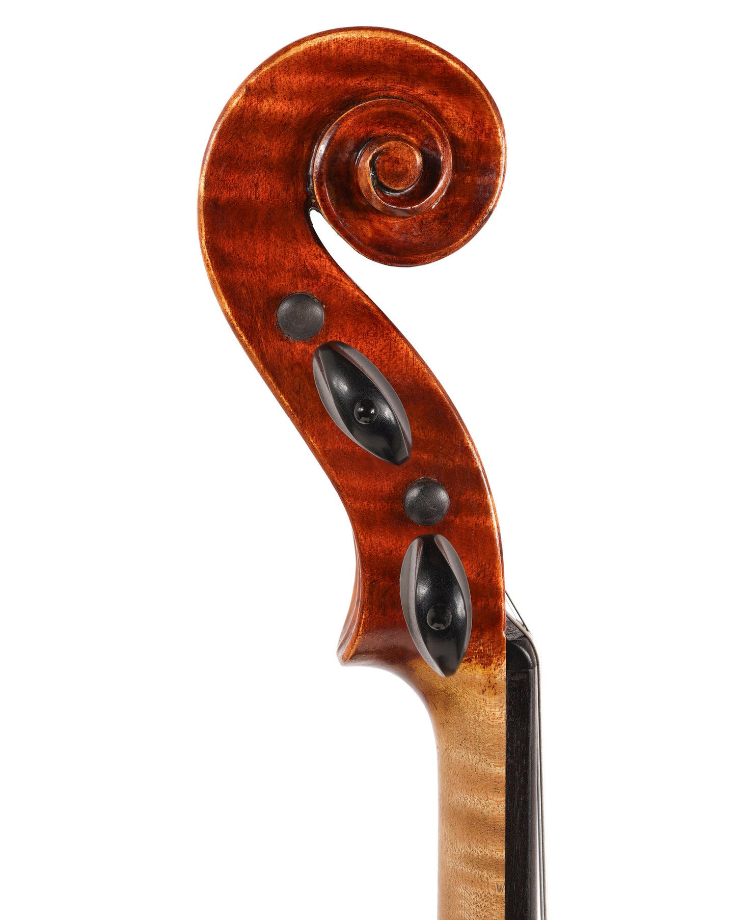 Enrico Orselli violin, 1949, Pesaro, ITALY | Metzler Violins