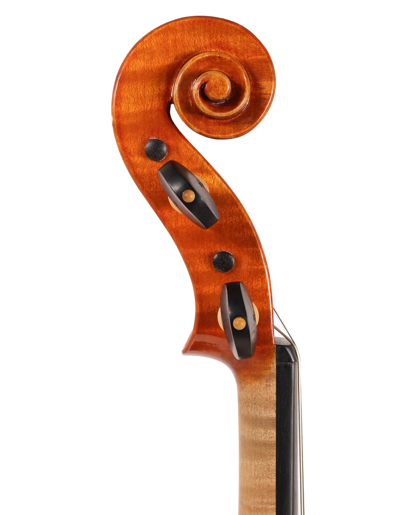 Sandro Soldi violin, 2020, Milano, with certificate | Metzler Violins