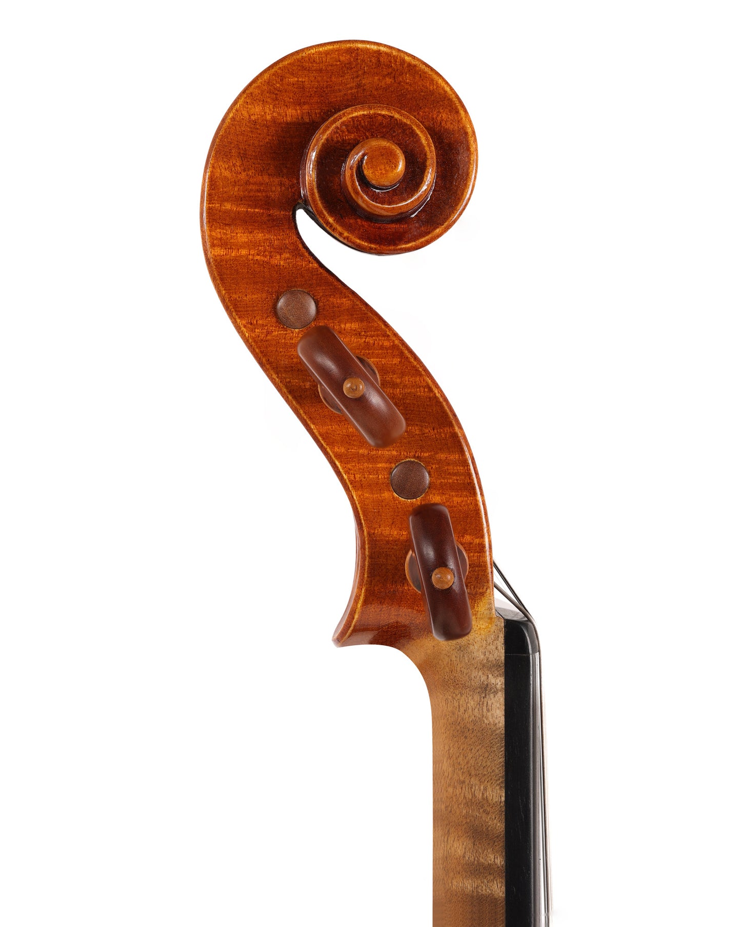 Shahram & Saeid Rezvani violin, 2020, #671, Los Angeles | Metzler Violins