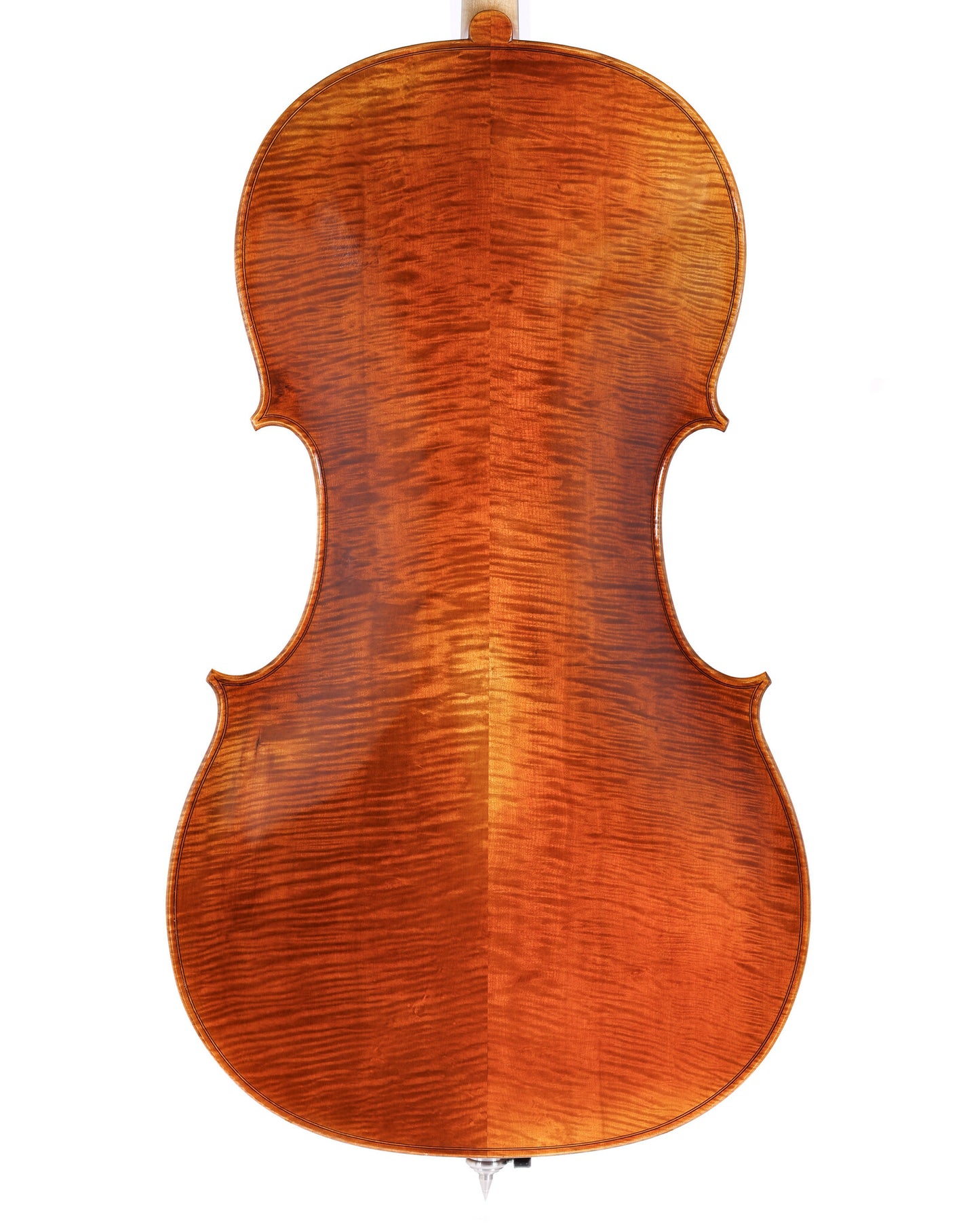 Michael Todd III Special Edition cello, Wittner pegs, 2024 | Metzler Violins