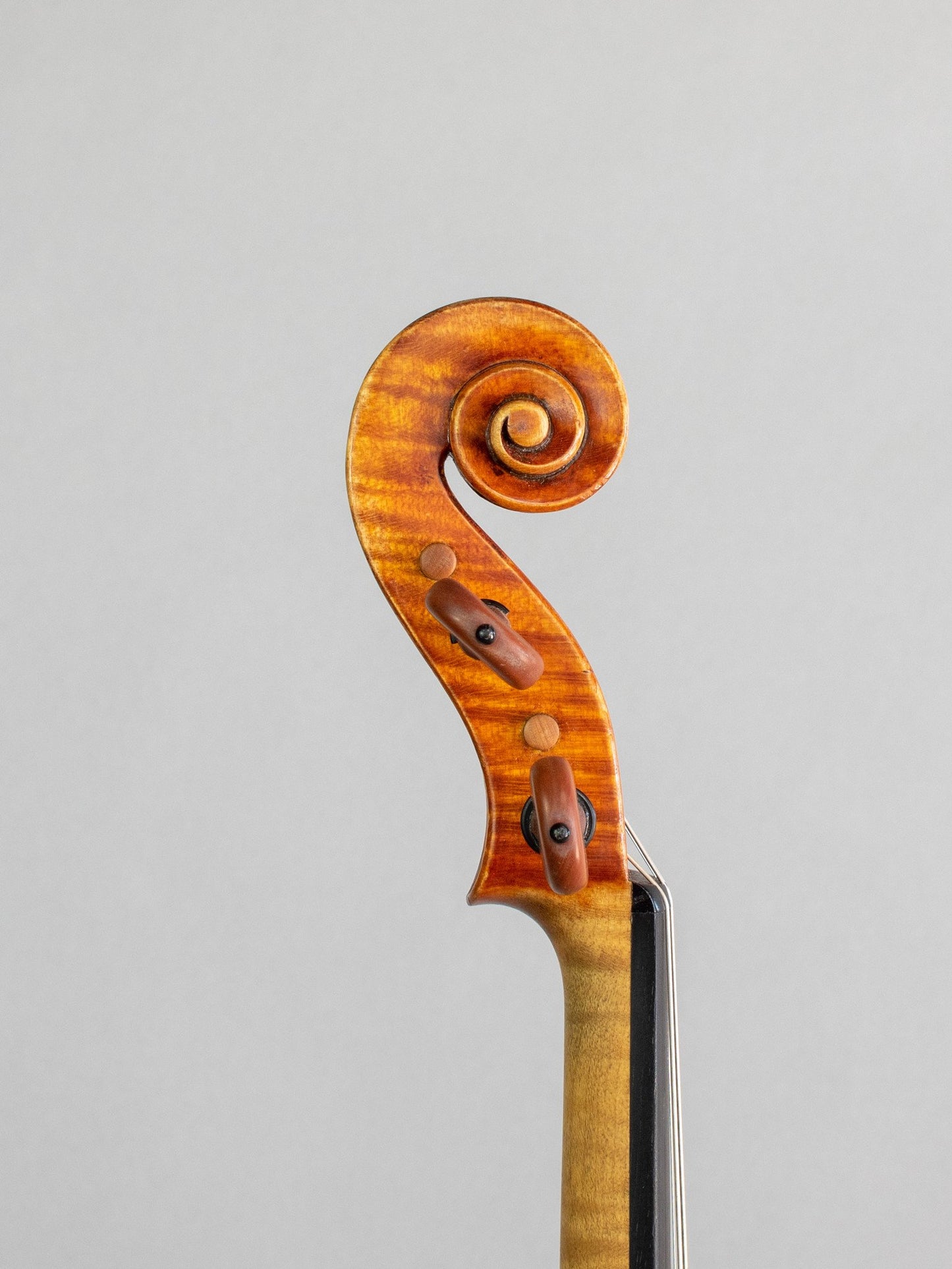 Michele Buccelle 2001 violin, Cremona, Italy | Metzler Violins