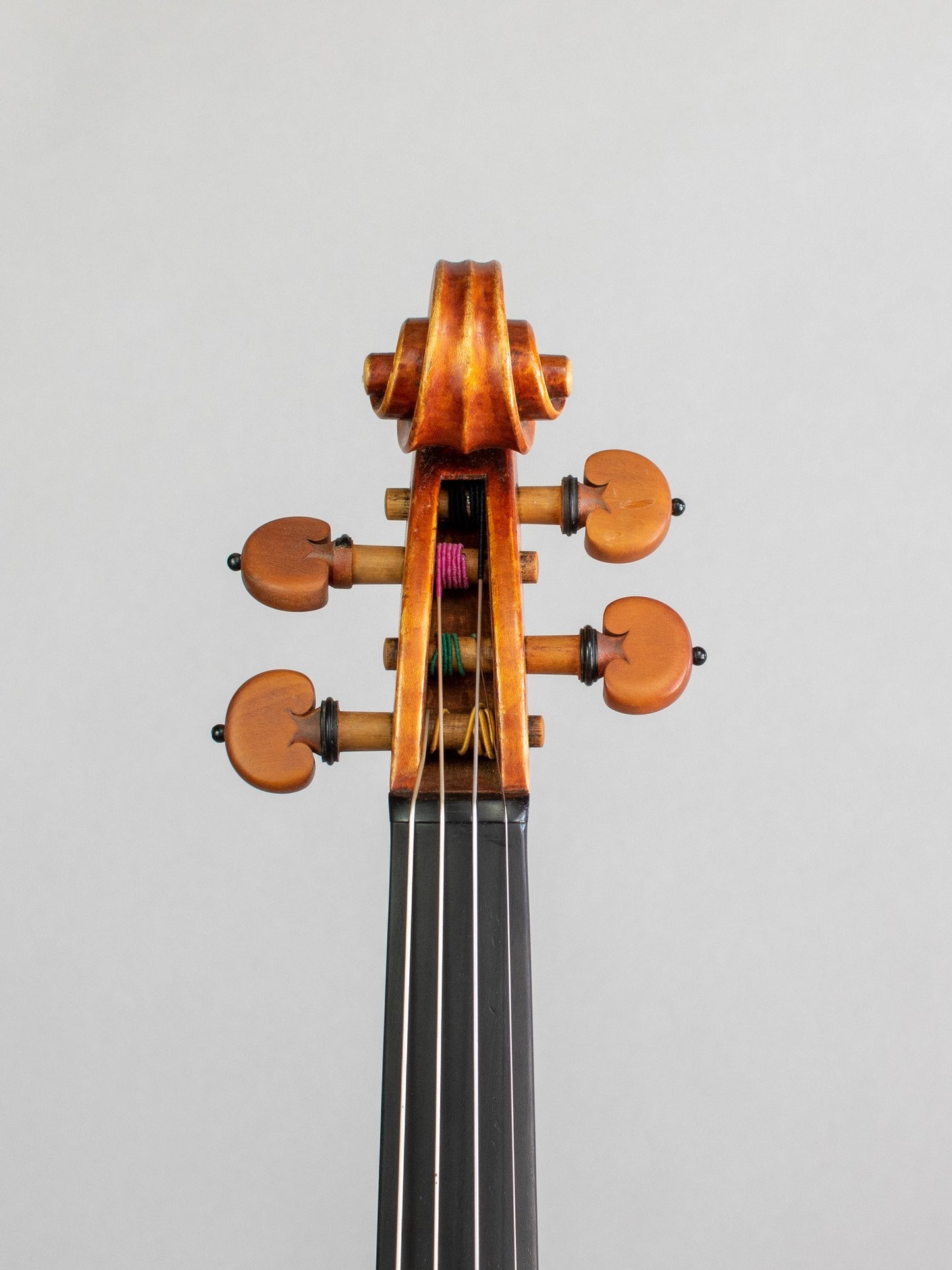 Michele Buccelle 2001 violin, Cremona, Italy | Metzler Violins