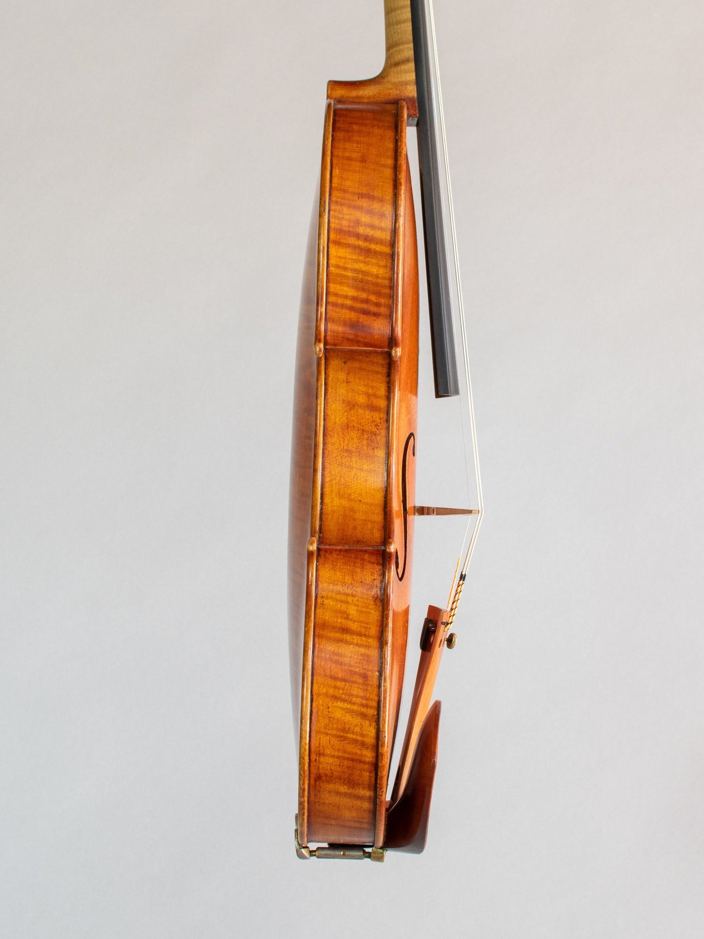 Michele Buccelle 2001 violin, Cremona, Italy | Metzler Violins