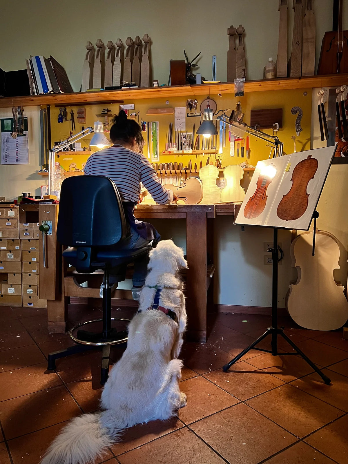 Mina Mazzolari "Montagnana 1739" cello, Cremona, 2021 | Metzler Violins