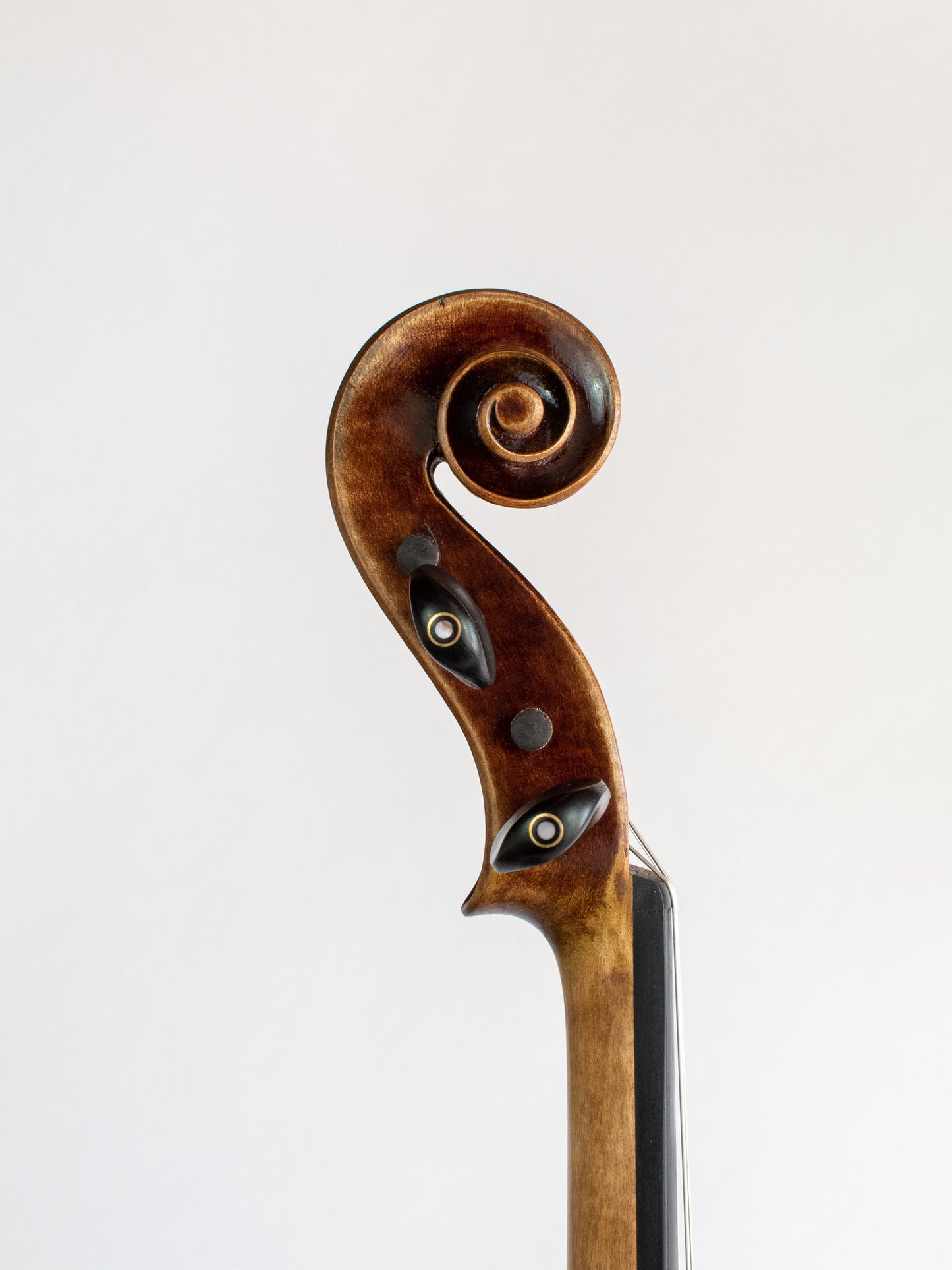 Nocturne 4/4 violin with free case, bow, rosin & polish cloth