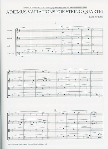 Jenkins, K.: Adiemus Variations for String Quartet (score and parts)