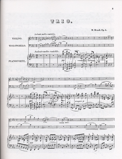 Bruch, Max: Trio in C minor Op.5 (violin, cello, piano)
