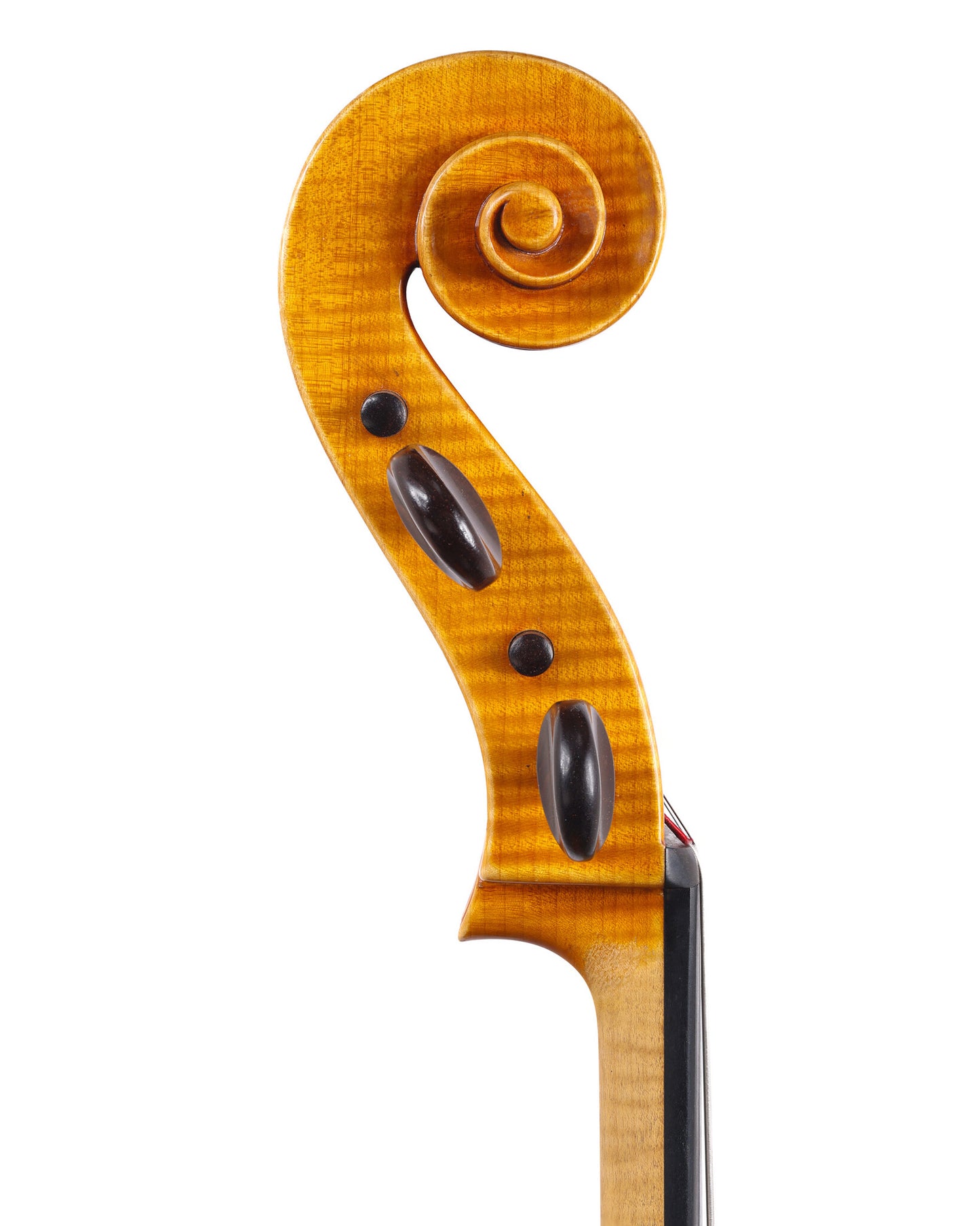 Antonio Capela Antense cello, 1989, fine condition | Metzler Violins