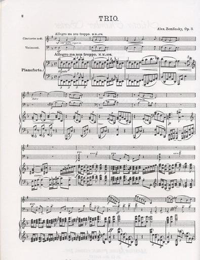 Zemlinsky, Alexander: Trio in D minor, Op. 3 (clarinet, cello & piano)
