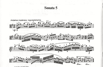 Paganini, Niccolo (Arnold): Six Sonatas Book 2 (Viola)