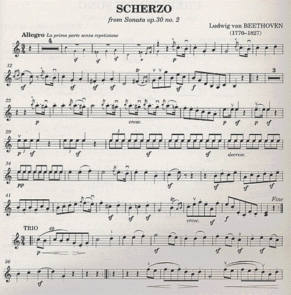 Nelson, S.: Classical Violinist (violin & piano)