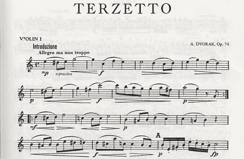 Dvorak: Terzetto Op.74 (2 violins & viola)