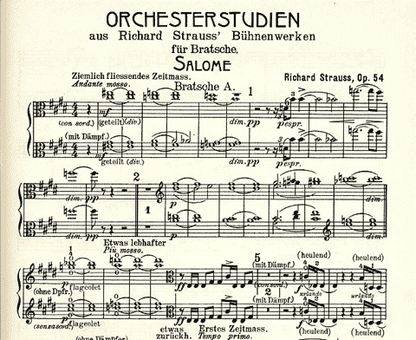 Strauss, Richard: Orchestral Stage Works 2 (viola) Salome