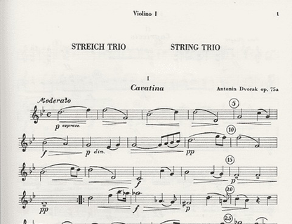Dvorak, A.: Sting Trio in B flat Major, Op.75a (2 violins, and viola)