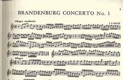 Gingold, J.: Orchestral Excerpts Vol. 2 revised (violin) IMC