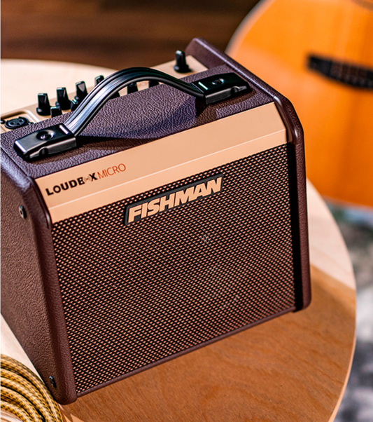 FISHMAN Loudbox Micro Amplifier, 120V