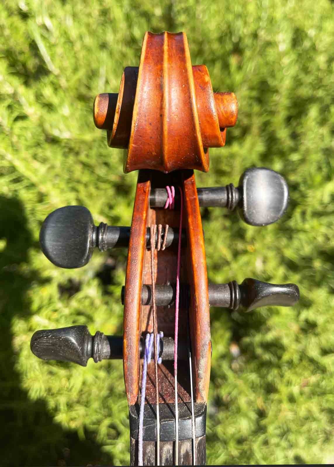 Vincenzo Cavani 16 3/4" viola, #128, 1951, Spilamberto, ITALY | Metzler Violins