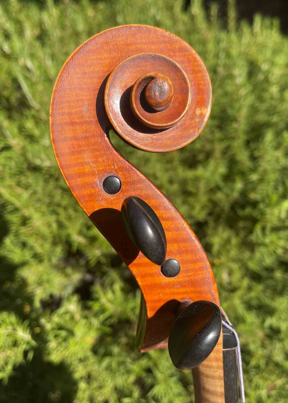 Vincenzo Cavani 16 3/4" viola, #128, 1951, Spilamberto, ITALY | Metzler Violins