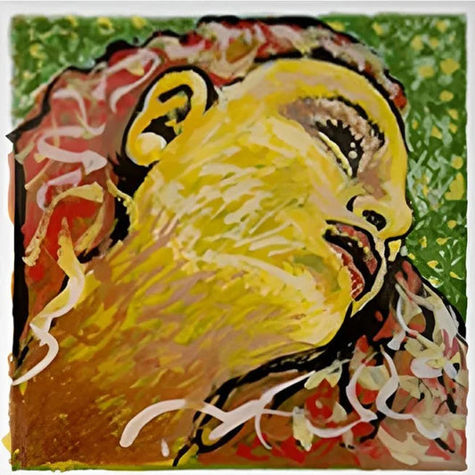 Evah Pirazzi Neo violin set, medium | Metzler Violins