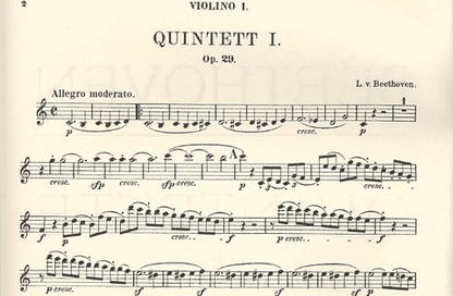 Beethoven, L.van: String Quintets Op.29, 4, 104, 137