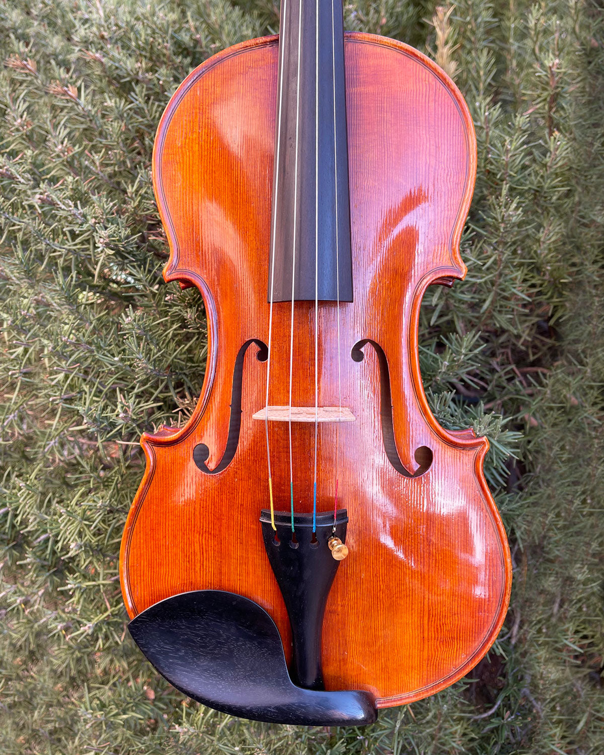 Roman Glogowski violin, 2015, Zab, Poland | Metzler Violins