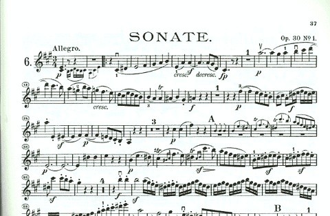 Beethoven, L.van (Joachim): Complete Sonatas-Vol.2 (violin & piano)