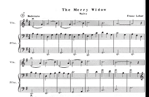 Rhoda, J.T.: The ABC's of Viola for the Intermediate Book 2 (piano acc)