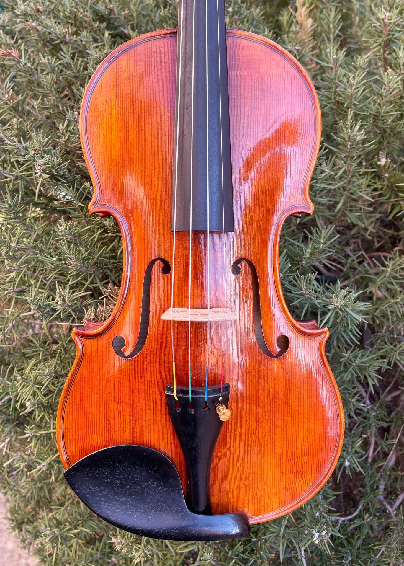 Roman Glogowski violin, 2015, Zab, Poland | Metzler Violins