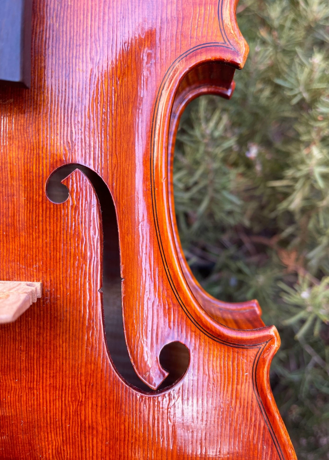Roman Glogowski violin, 2015, Zab, Poland | Metzler Violins