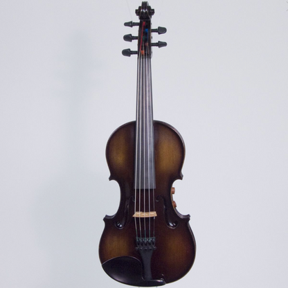 REALIST electric 5-string Pro E-Series violin feat. Instant Active with BLACK finish, Wittner pegs & case
