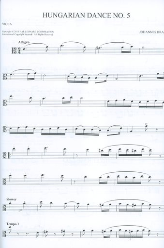 Hal Leonard: (Collection) 101 Classical Themes (viola)