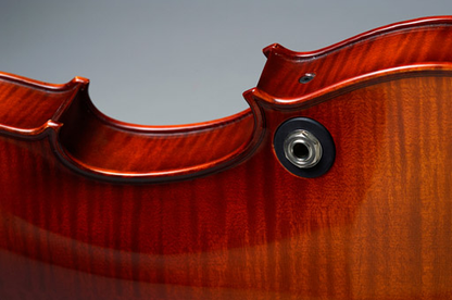 REALIST electric 4-string Standard E-Series violin with case